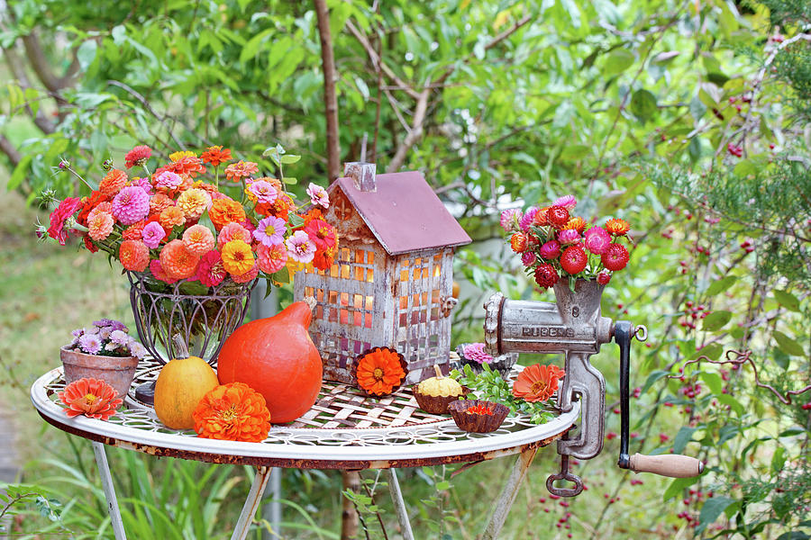 Autumn Arrangement Of Zinnias, Everlasting Flowers And Pumpkins Photograph by Angelica Linnhoff