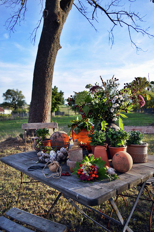 Autumn Arrangement On Table In The Garden Photograph by Christin By Hof 9