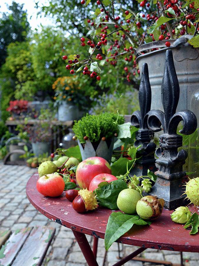 Autumn - Arrangement With Apples, Chestnuts And Walnuts Photograph by Christin By Hof 9