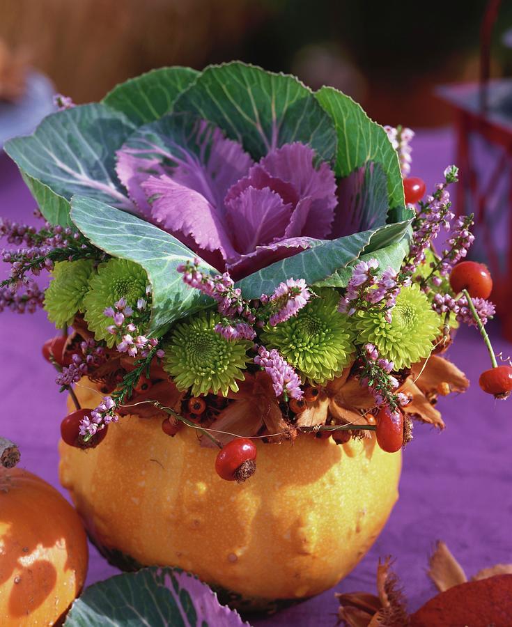 Autumn Arrangement With Ornamental Cabbage In A Pumpkin Photograph by Friedrich Strauss