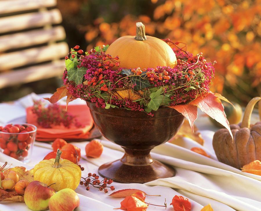 Autumn Arrangement With Pumpkin And Berries Photograph by Friedrich Strauss