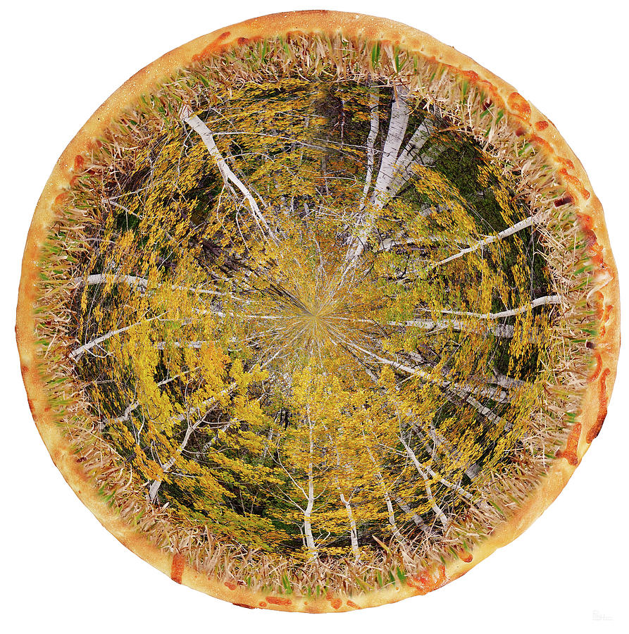 Autumn Aspen Pizza - nature mimics food Photograph by Peter Herman
