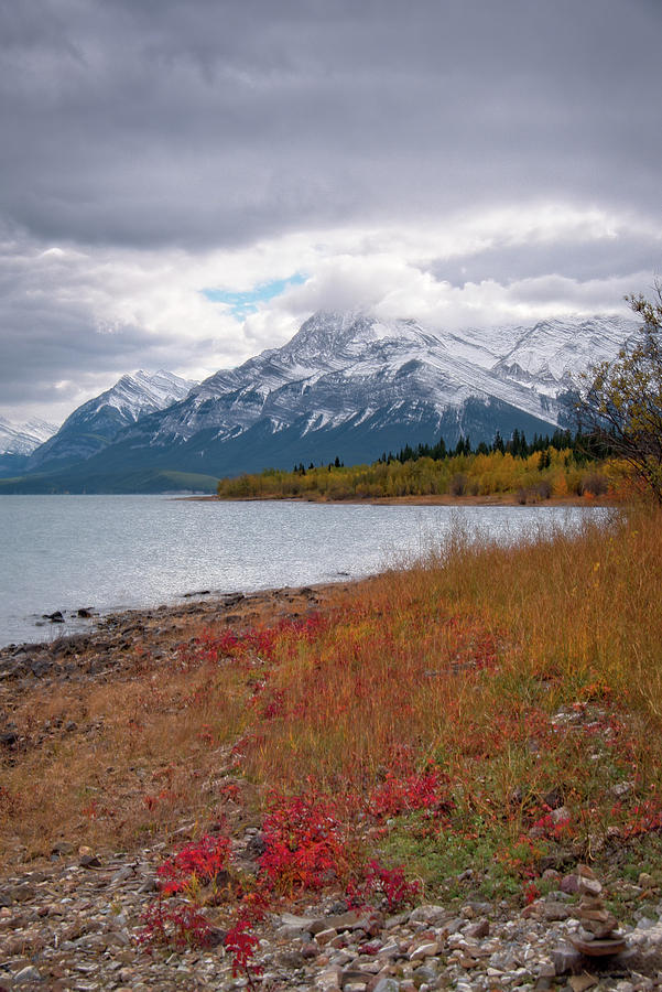 Autumn at Abraham Lake Photograph by Catherine Reading