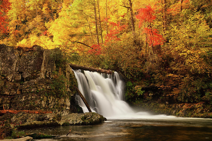 Autumn at Abrams Falls Photograph by Greg Norrell