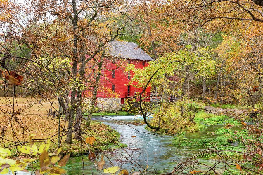 Autumn At Alley Mill Photograph by Jennifer White
