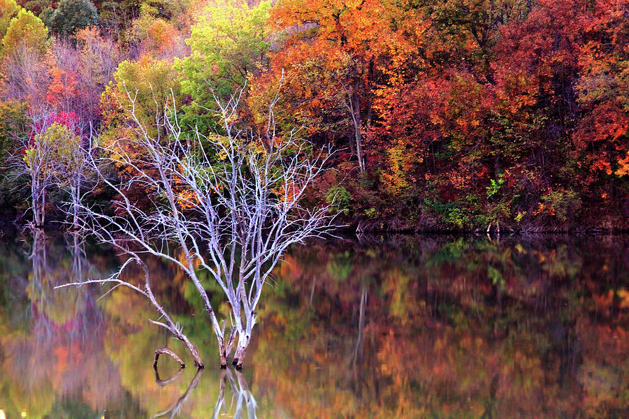 Autumn at Alum Creek Photograph by Angela Murdock