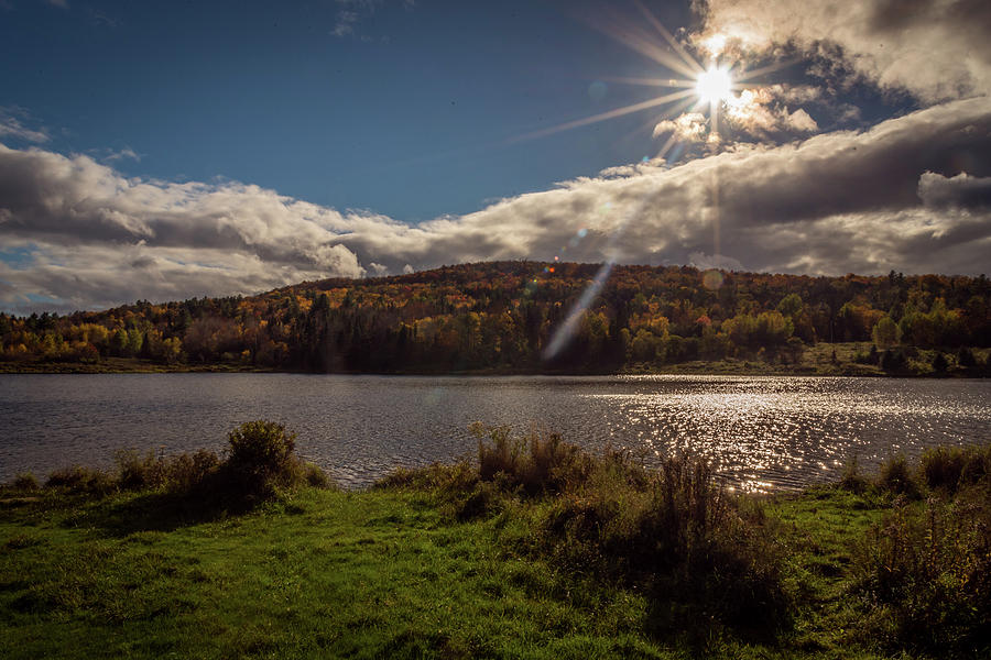 Escape to Blueberry Lake: A Gem in the Heart of Nature