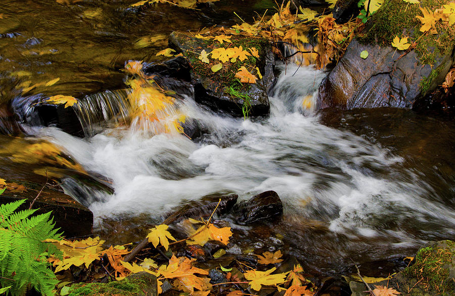 Autumn at Clear Creek Photograph by Steph Gabler