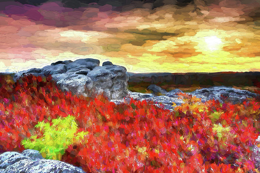 Autumn at Dolly Sods Bear Rocks AP Painting by Dan Carmichael