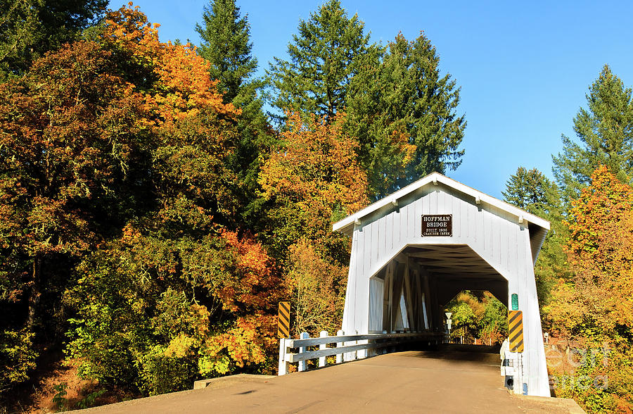 Autumn At Hoffman Bridge Photograph by Robert Bales