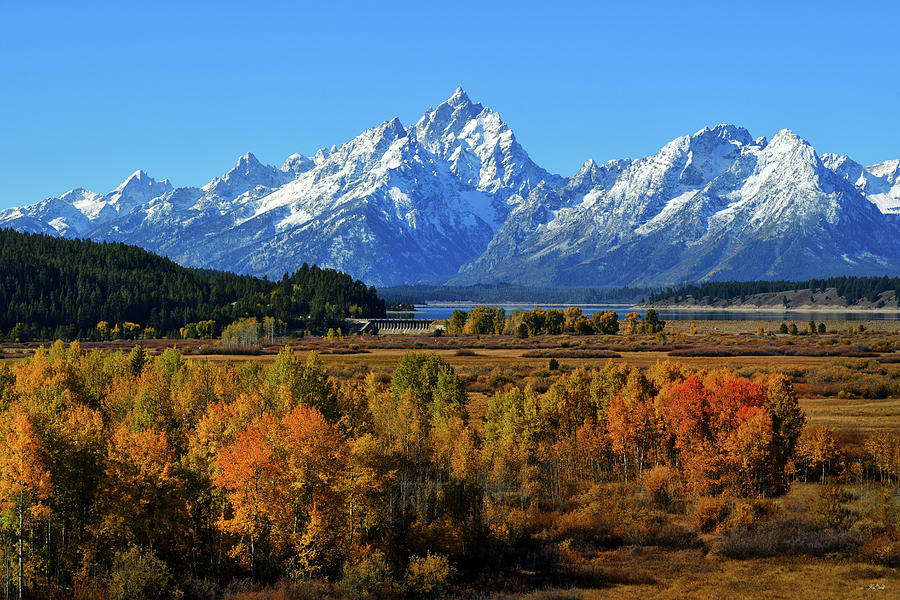 Autumn at Jackson Lake Junction Photograph by Greg Norrell