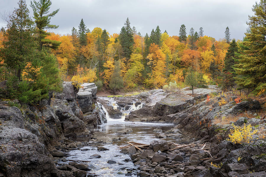 Autumn at Jay Cooke State Park Photograph by Susan Rissi Tregoning