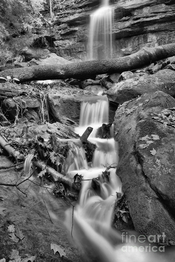 Autumn At McConnells Mill Alpha Falls Black And White Photograph by Adam Jewell