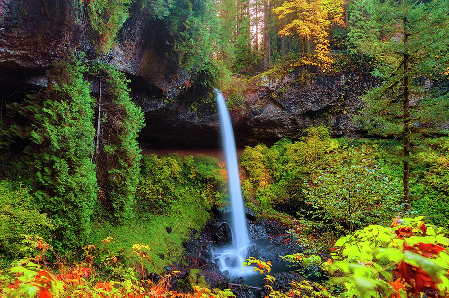 Autumn at North Falls by Dee Browning Autumn at North Falls by Dee Browning