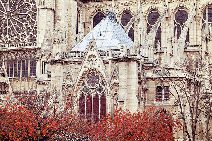 Autumn at Notre Dame de Paris Photograph by Melanie Alexandra Price