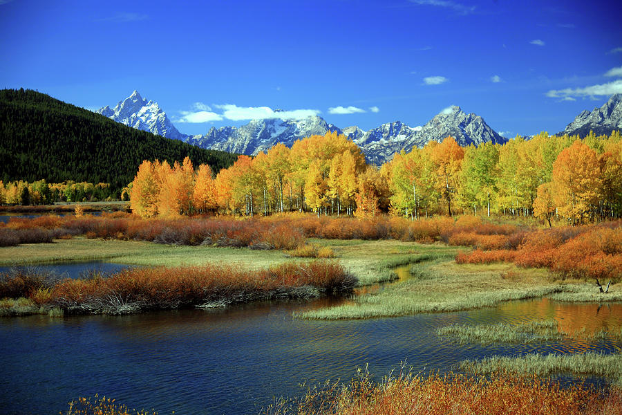 Autumn At Oxbow Bend by Denny35463