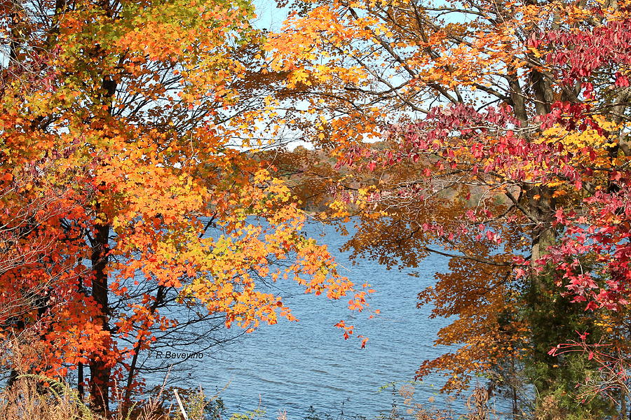 Autumn at Patoka Lake Photograph by Richard Bevevino Fine Art America