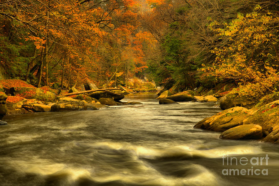 Autumn At Slippery Rock Creek Photograph by Adam Jewell