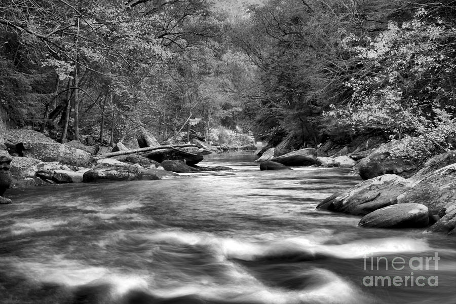 Autumn At Slippery Rock Creek Black And White Photograph by Adam Jewell