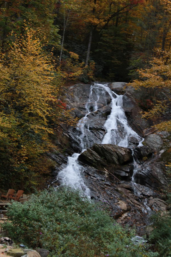 Autumn At Staghorn Falls Photograph by Cathy Lindsey