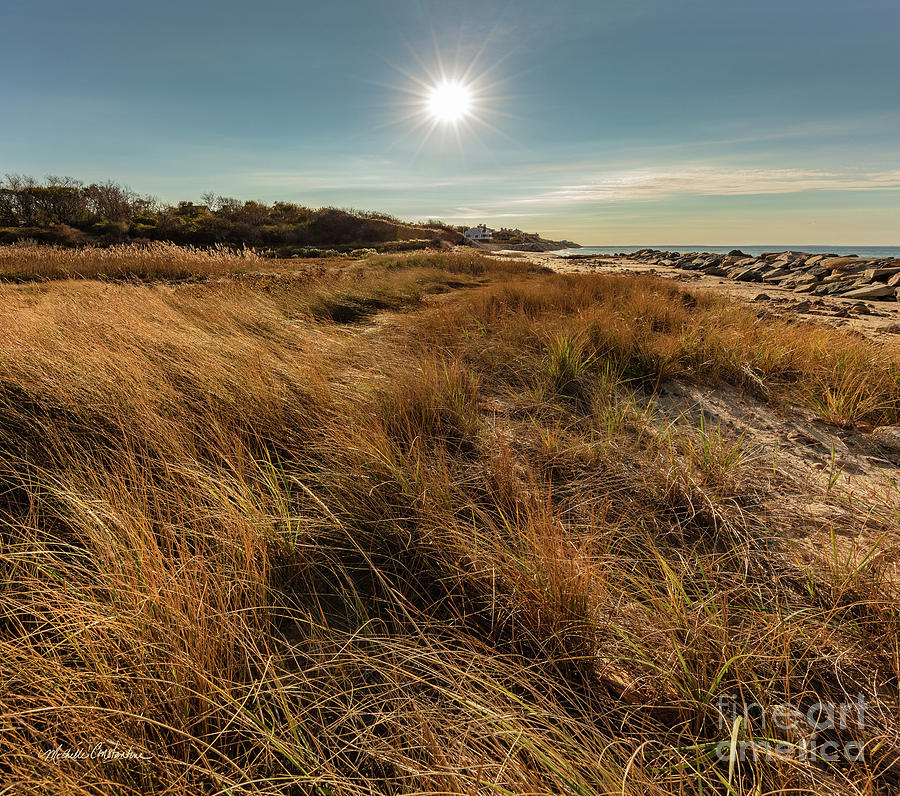 Nature Photograph - Autumn at the Beach Cape Cod by Michelle Constantine