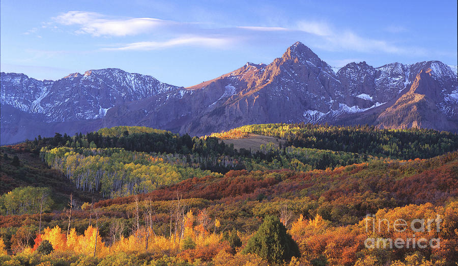 Ridgway Photograph - Autumn at the Dallas Divide - Panorama by Timm Chapman