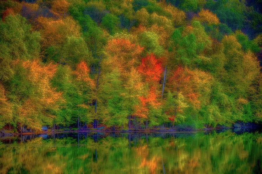 Autumn at the Lake Photograph by Alan Goldberg