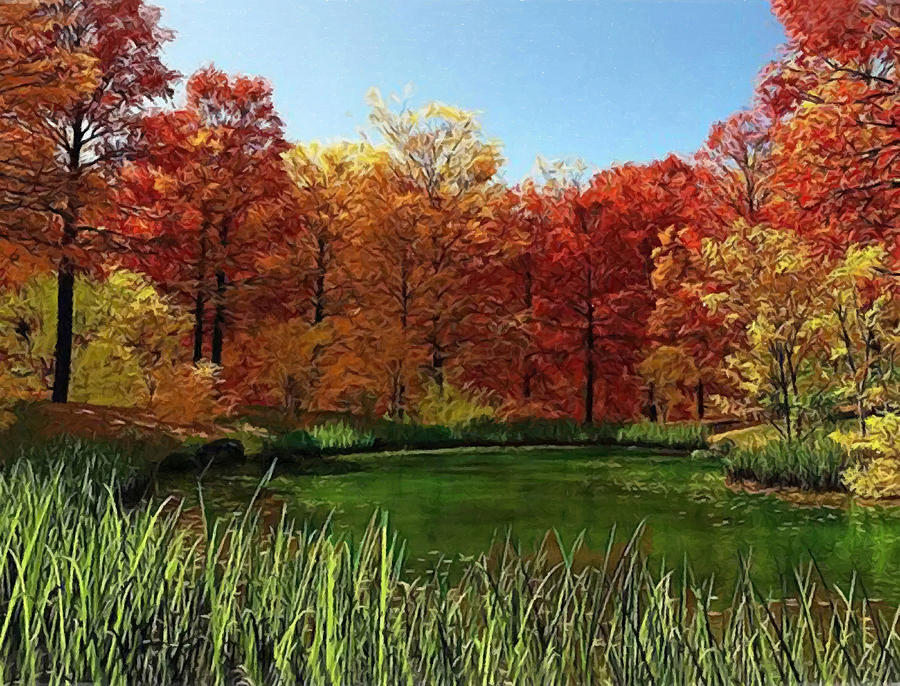 Autumn At the Pond Photograph by Sandi OReilly