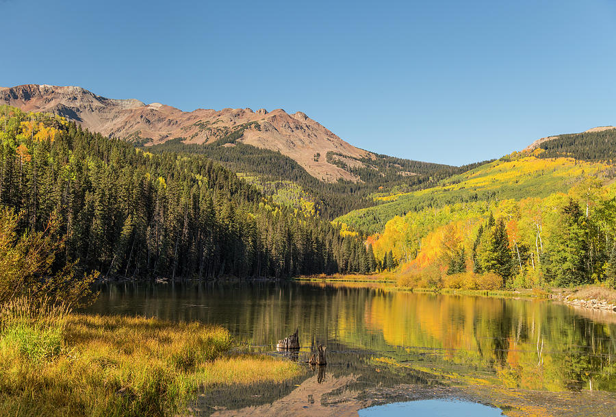 Autumn at Woods Lake by Gordon Ripley Autumn at Woods Lake by Gordon Ripley