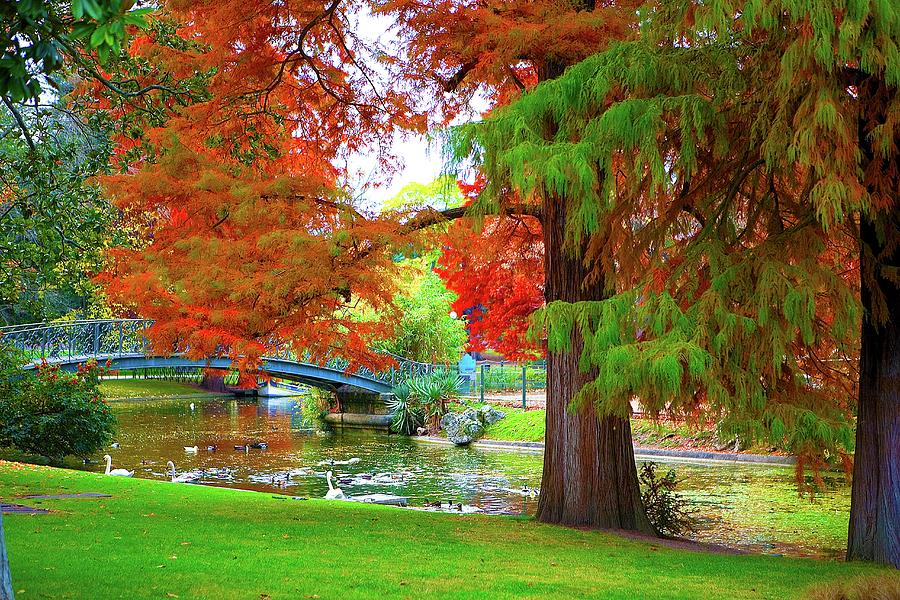 Autumn Atmosphere In Park With River Photograph by Serge Manceau
