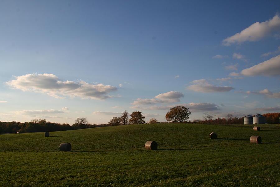 Autumn Bales by Dylan Punke Autumn Bales by Dylan Punke