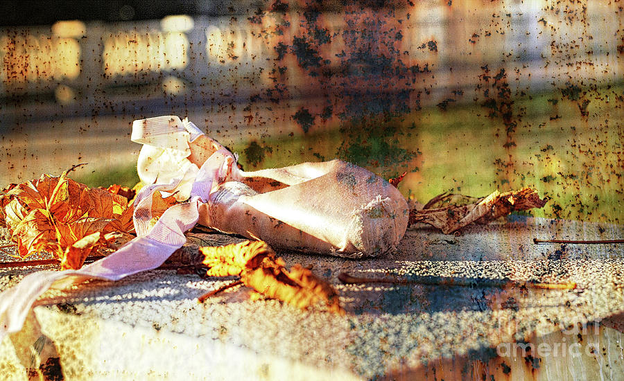 Music Photograph - Autumn Ballet by Bridget Mejer