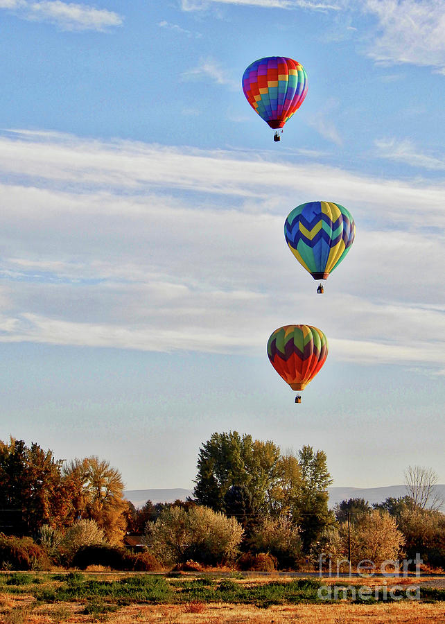Autumn Balloon Rally Photograph by Carol Groenen