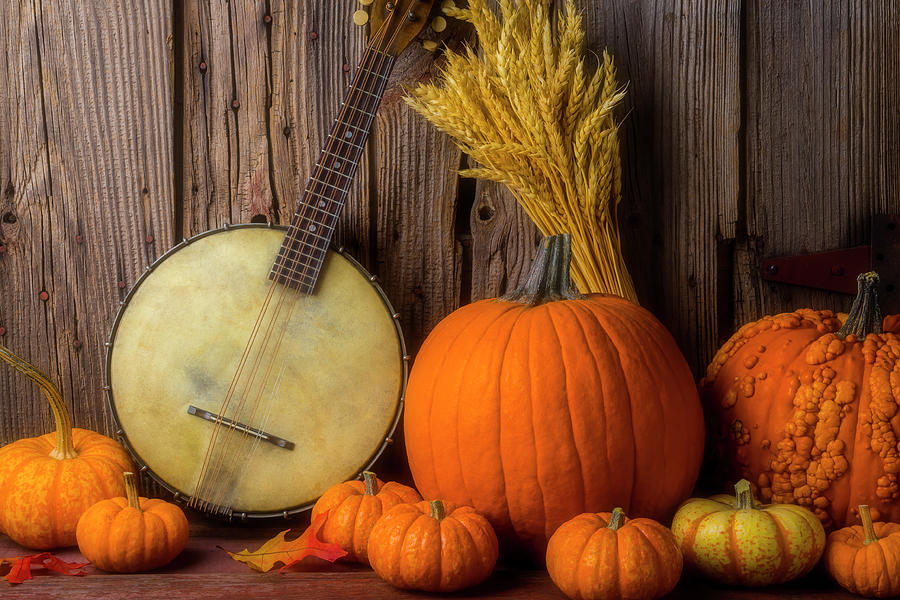 Autumn Banjo Photograph by Garry Gay