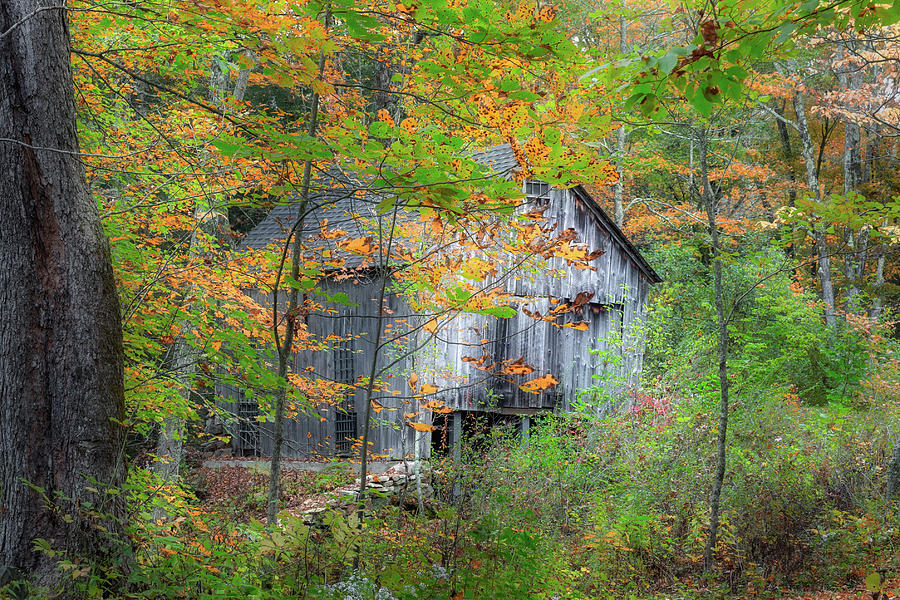 Autumn Barn 2018 Photograph by Bill Wakeley