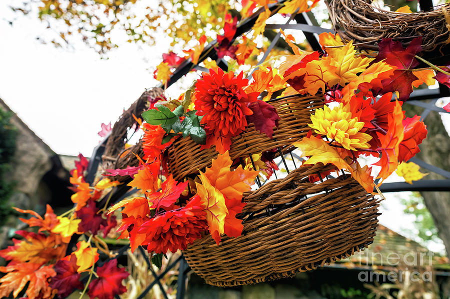 Autumn Basket at the New Jersey Botanical Garden Photograph by John Rizzuto