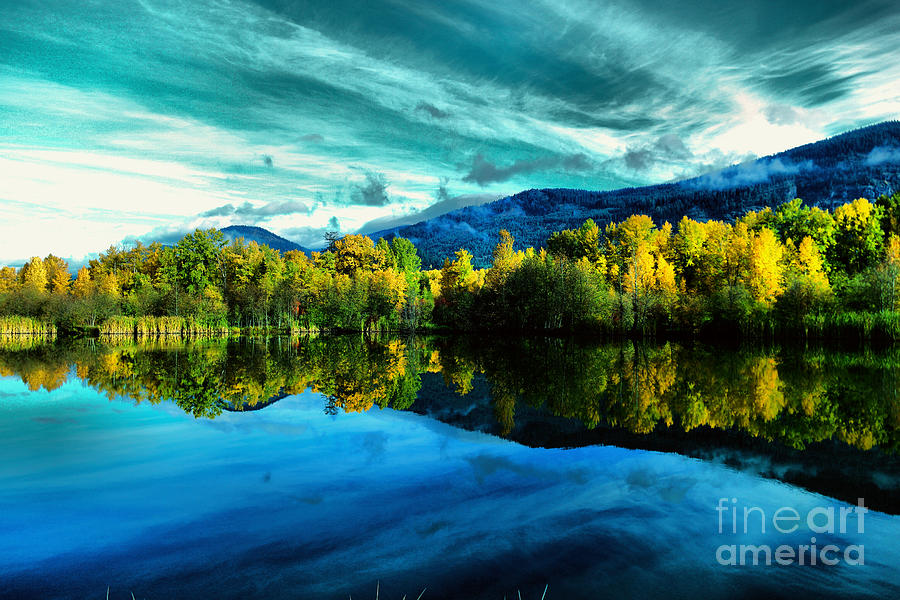Autumn Beauty Lakeside Photograph