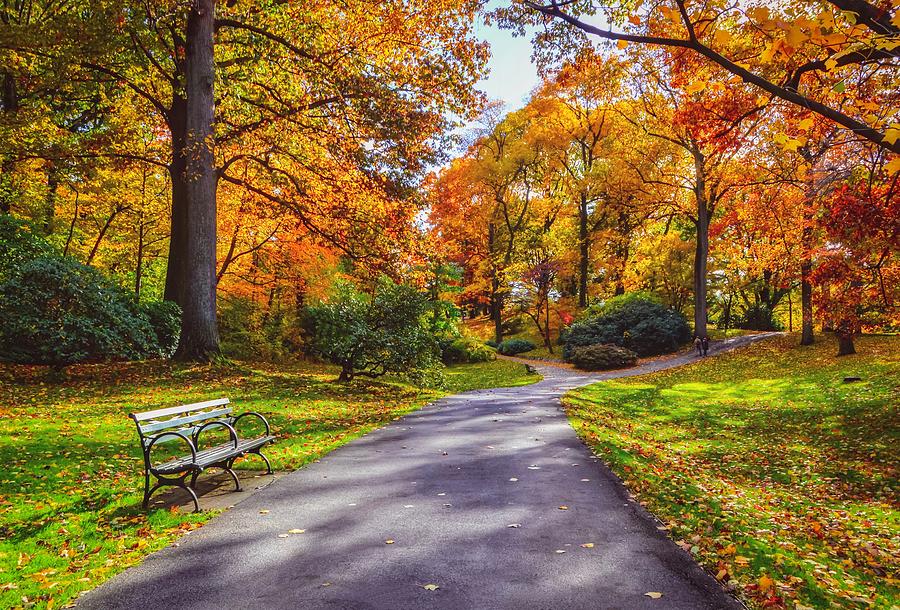 Autumn Bench Photograph by Shannon Kelly