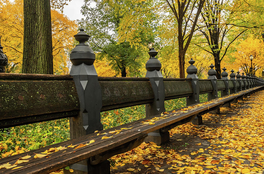 Central Park Photograph - Autumn Bench by Terri Mongeon