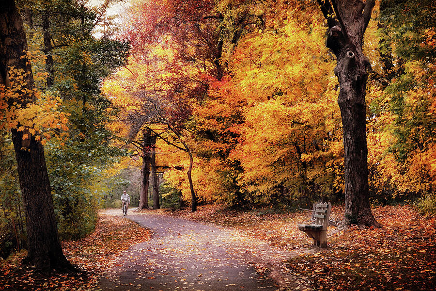 Autumn Biker Photograph by Jessica Jenney