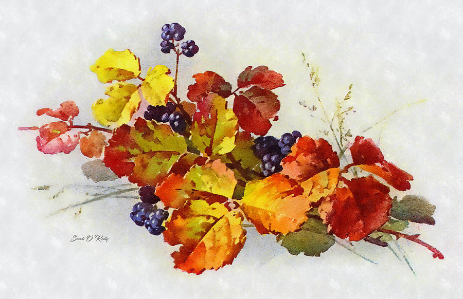 Autumn Blackberry Branch Watercolor Painting by Sandi OReilly