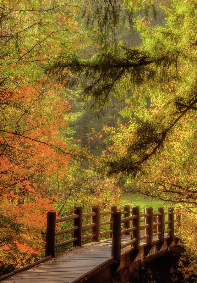 Autumn Bliss Photograph by Don Schwartz