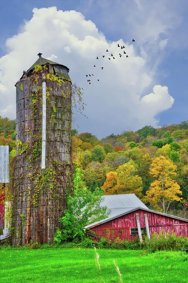 Farm Photograph - Autumn Bliss on the Farm - Finger Lakes, New York by Lynn Bauer