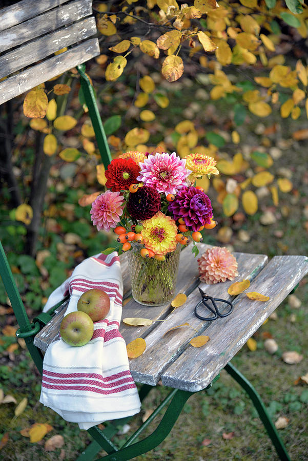 Autumn Bouquet Of Dahlias And Rose Hips On A Chair Photograph by Daniela Behr
