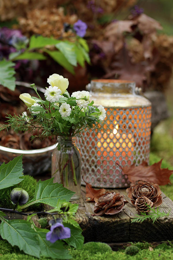 Autumn Bouquet With Sneezewort achillea Ptarmica, Candle And Cones Photograph by Angelica Linnhoff