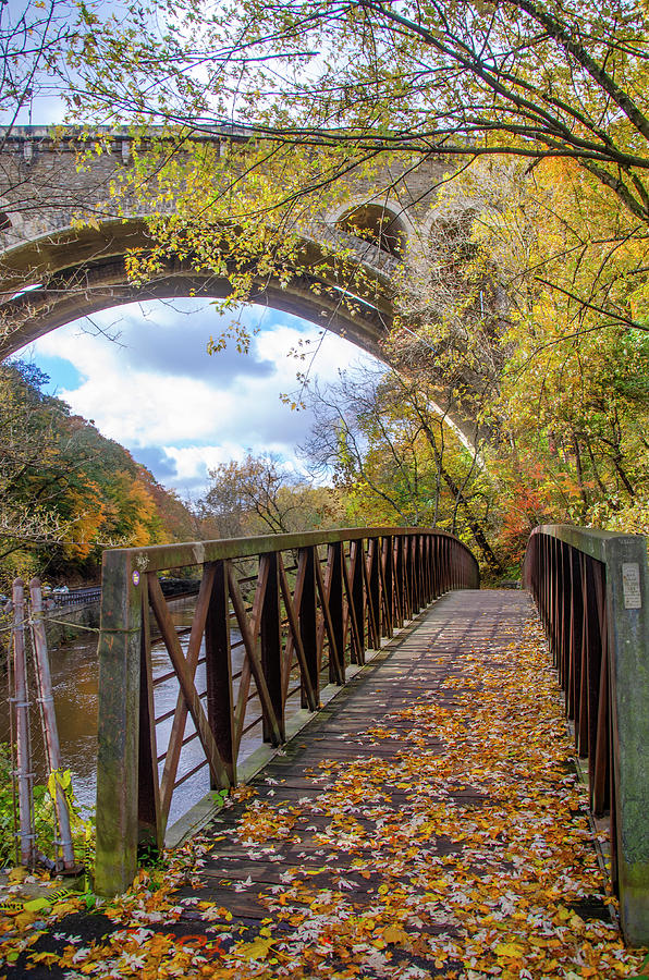 Autumn - Bow Bridge Under the Henry Avenue Bridge Photograph by Bill Cannon