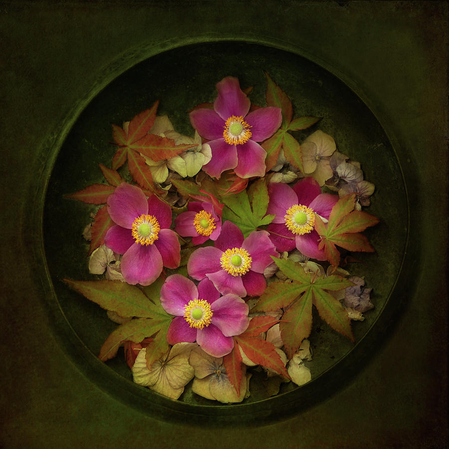 Autumn Bowl Of Flowers And Leaves Photograph by Julie Sumner