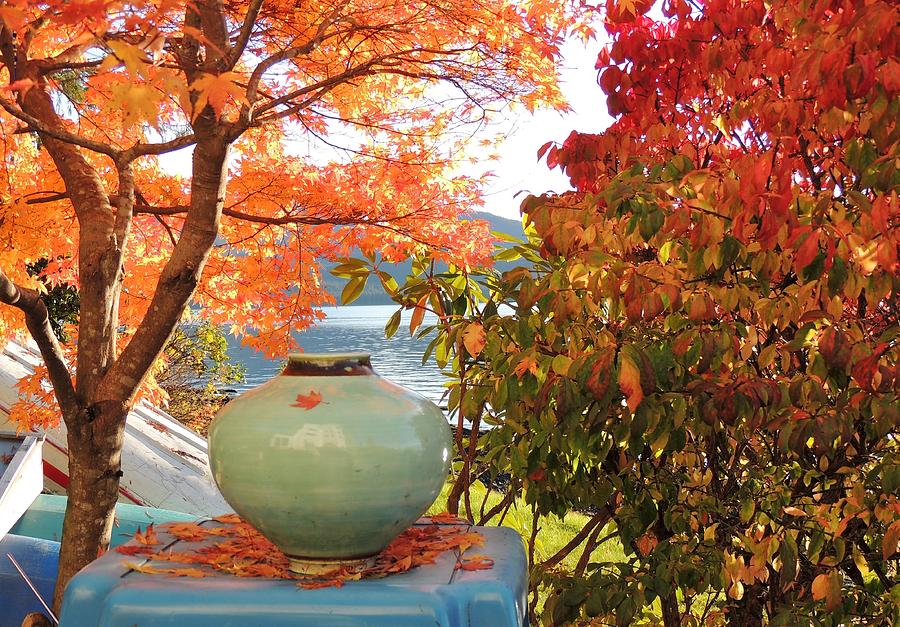 Tree Photograph - Autumn breeze by Karen Horn