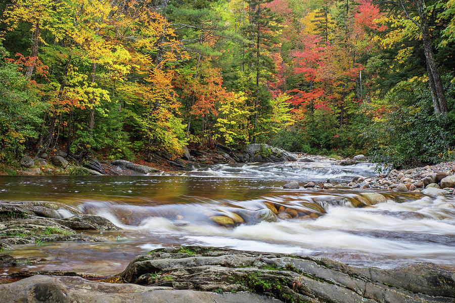 Autumn Brook Photograph by White Mountain Images