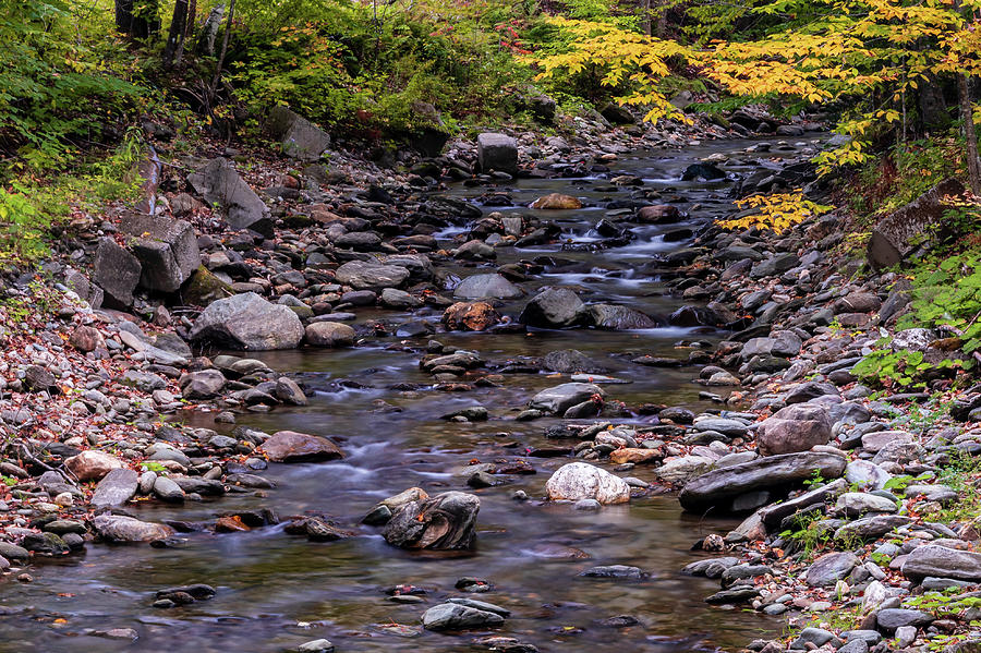Autumn brook in Vermont Photograph by Chad Dikun